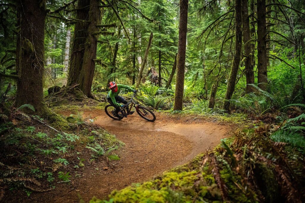The first race of the Ride the Dirt Wave series kicks things off in style at Alsea Falls Trail System, nestled in the Coast Range between Corvallis and Eugene! This beloved trail system is one of the most popular destinations in the Willamette Valley and we could not be more excited to welcome it into the Dirt Wave family. Join us for two incredible days of riding, community, and adventure!

Saturday — Give Back & Ride Day Start the weekend by giving back to the trails we love! Join fellow riders for a free volunteer trail work day before we celebrate with shuttles to the top for an afternoon of riding. Explore the flow, the forest, and the pure MTB magic that makes Alsea Falls so special. Group rides for all levels ensure everyone finds their perfect line.

Sunday — Race Day! The Dirt Wave season is officially underway! Racers will take on two timed runs down the race course, with your best time determining the winner. E-bikes (class one pedal assist only) are welcome, so no matter how you ride, there is a place for you at the start line. Whether you are a seasoned racer or toeing the start line for the first time, Alsea Falls delivers the kind of riding that puts a smile on your face and keeps you coming back. Racers will be grouped by age and class for fair competition, with awards and celebration to follow.

This is an OBRA-sanctioned event — register now at thedirtwave.com and come be part of something new!