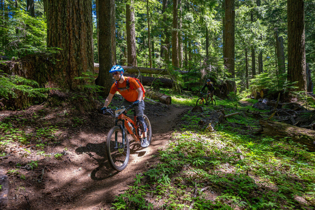 Oregon's Annual Mountain Bike Festival

Get hyped for Mountain Bike Oregon, the all-inclusive three-day mountain biking festival celebrating 21 years in the heart of Oakridge's legendary singletrack.

Come ride in the mountain bike capital of the Pacific Northwest, one of six IMBA Gold Level trail center sites in the world.

MBO includes three days of shuttled rides on sweet and technical singletrack, riverside camping, daily lunch, Ladies and Junior clinics, free demo bikes, a swimming hole, silent disco, mini-bike race, vendor expo, and a massive raffle. Then wind down every evening in the HydroFlask Hydration Garden with Deschutes Brewery beers and NA options, Oregon wines, cider, and kombucha. Good people, great trails, and cold drinks. What more could you ask for?

Family friendly and open to all skill levels. Come for the riding, stay for everything else. The best weekend of summer awaits!