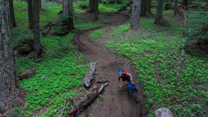 Trail in Oakridge OR
